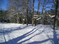 Houghton_Lake_Trail_Dec220902.JPG (187902 bytes)