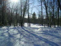 Houghton_Lake_Trail_Dec220904.JPG (161314 bytes)