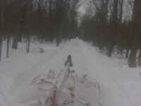 Copy of IMG00388.jpg (442336 bytes)