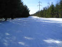 P1010095.JPG (164378 bytes)