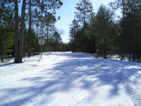 P1010101.JPG (186275 bytes)