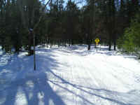 P1010102.JPG (176659 bytes)