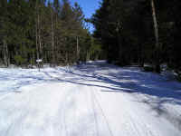 P1010103.JPG (175870 bytes)