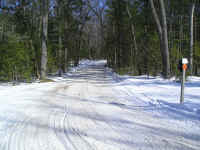 P1010105.JPG (178695 bytes)