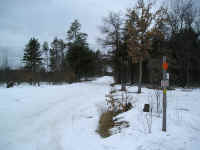 P1010117.JPG (174901 bytes)