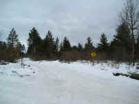 P1010120.JPG (156216 bytes)