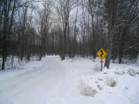 Houghton_Lake_Trail_Jan011005.JPG (181418 bytes)