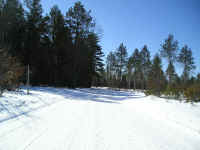 P1010110.JPG (169532 bytes)