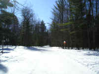 P1010112.JPG (173892 bytes)