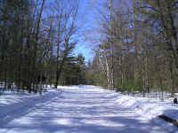 P1010113.JPG (188911 bytes)