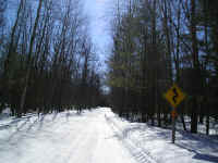 P1010114.JPG (186780 bytes)