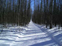 P1010118.JPG (188464 bytes)